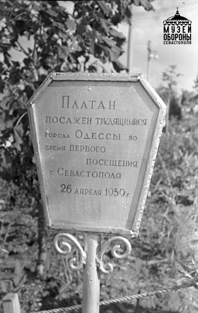 6.Делегация города Одессы сажает дерево на Аллее дружбы Малахова кургана. 26 апреля 1959 г. Фото.Баженов А. В..jpg