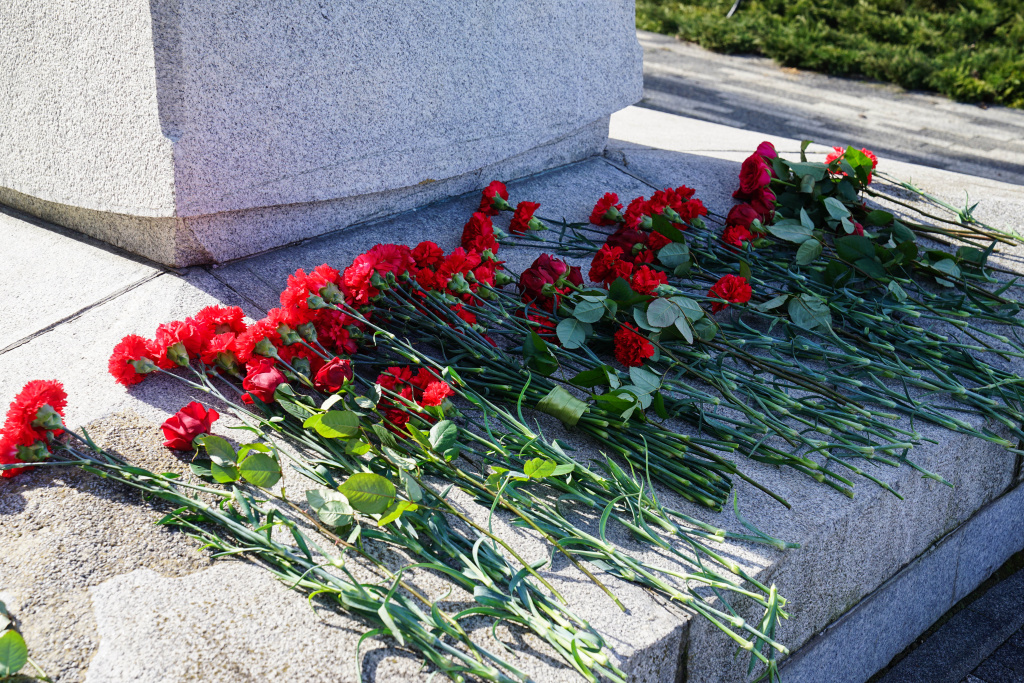 DSC00482-2.jpg